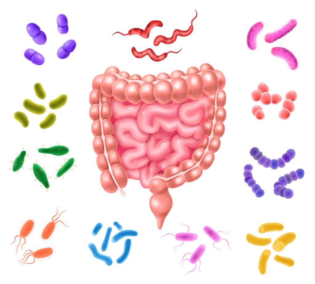 parasite cleanse