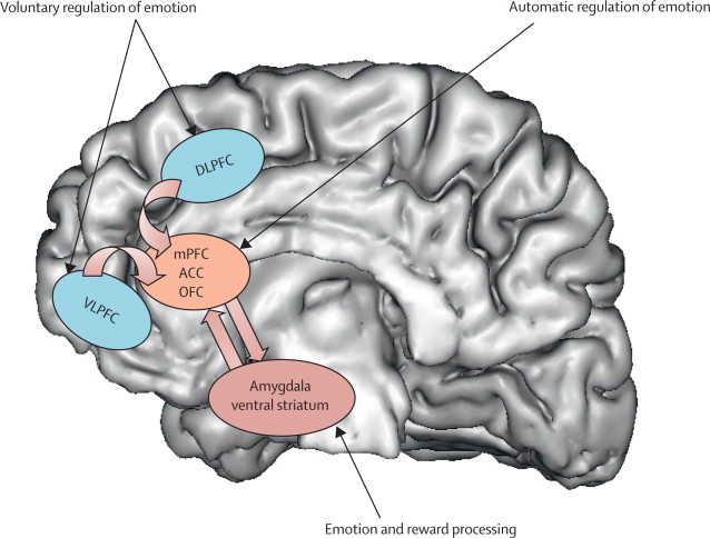 treatment of clinical depression	