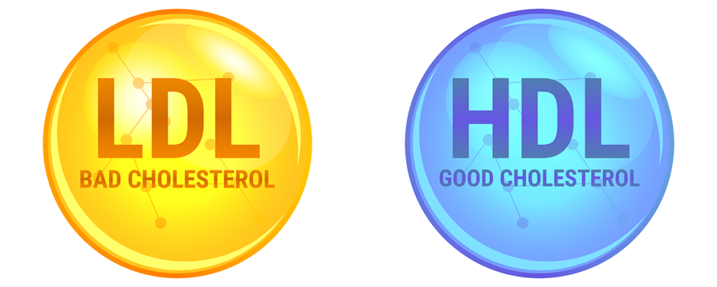 ldl cholesterol